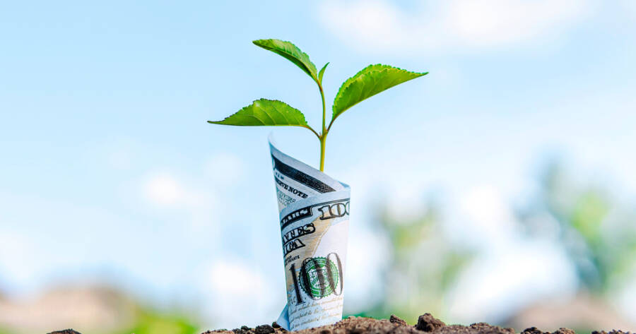 Building Wealth 101: Simple Habits That Grow Your Money Over Time